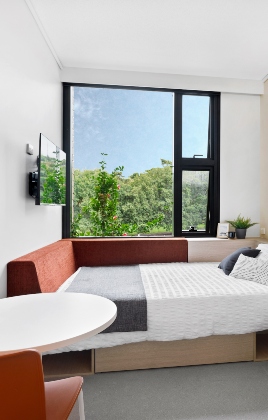 Studio - Bed